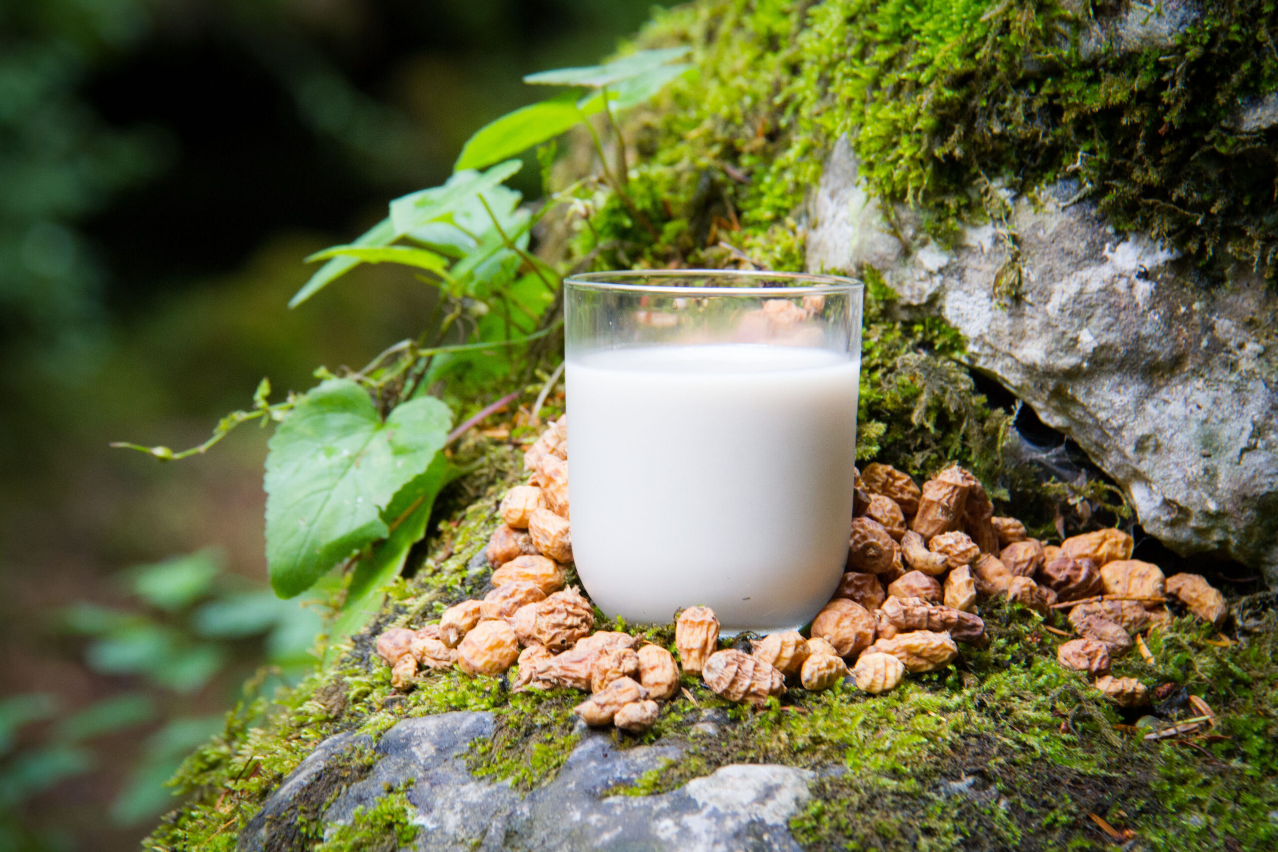 Horchata_accueil